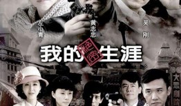 我的绝密生涯在线观看,揭秘特工风云背后的惊心动魄